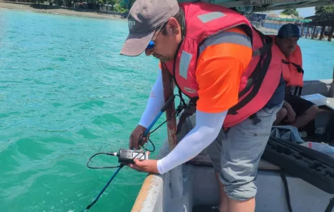 Biólogos monitorean impacto ambiental en la construcción del muelle multipropósito de Puerto Armuelles 