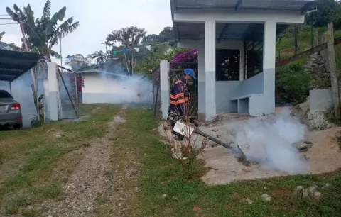 Vigilancia activa por los casos de dengue en la provincia de Coclé