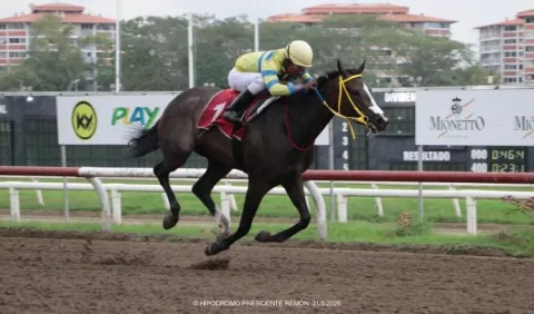 Doña Perfecta sigue invicta; se perfila para el Caribe