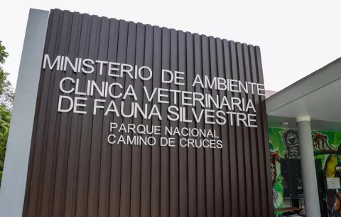 ¿Qué reveló el informe sobre la muerte de la mona Karol en la Clínica Veterinaria de Fauna Silvestre?