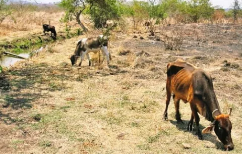 Mi Ambiente refuerza monitoreo de cuencas ante llegada del fenómeno de El Niño