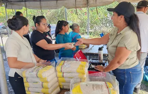 IMA garantiza canasta básica accesible a 560 mil familias 