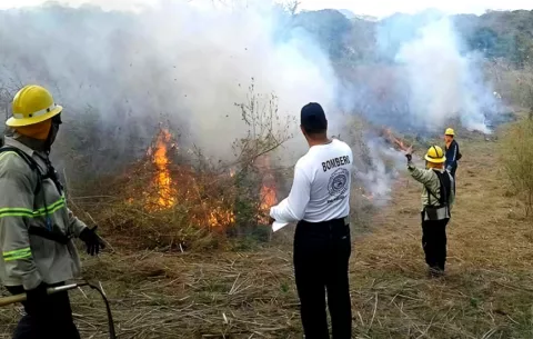 Se triplican incendios de masa vegetal en la provincia de Los Santos