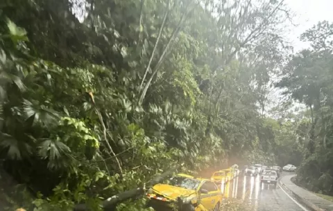 Fuertes lluvias provocan caída de árboles y deslizamientos en varios sectores de Colón