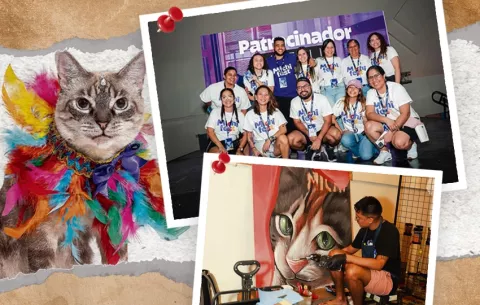 Michi Fest 2026: ¿Cuándo se realizará la convención de 'cat lovers'?
