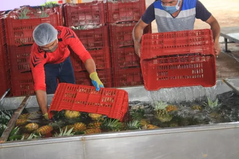 Productores dan espaldarazo; Gobierno condiciona venta de energía a Costa Rica
