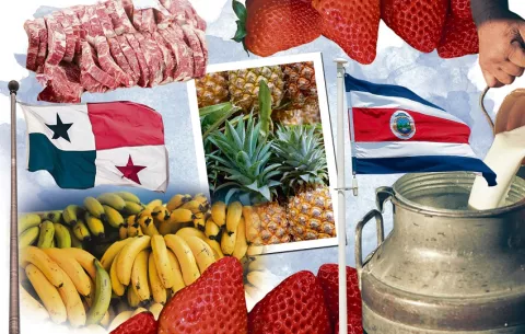 Productores piden a las autoridades no dejarse 'intimidar' por Costa Rica