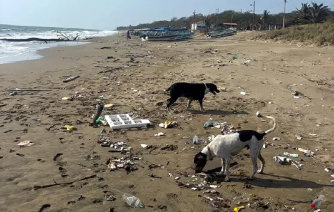 Corrientes arrastran desechos hacia playas de Los Santos