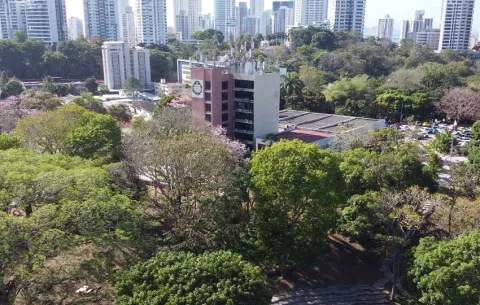 Afinan proceso para elecciones de la Universidad de Panamá el 1 de julio 