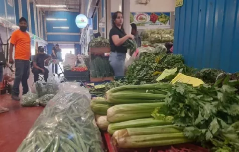 Panamá implementa por primera vez certificación de buenas prácticas agrícolas