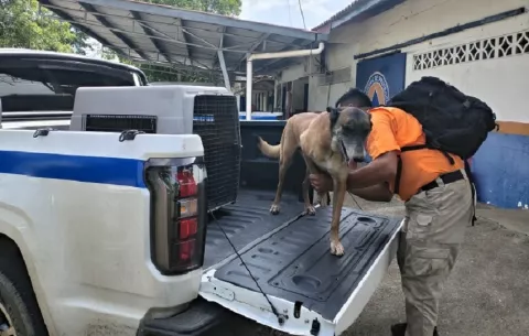 'Blade', el héroe de cuatro patas de Los Santos que viaja a Venezuela tras los terremotos