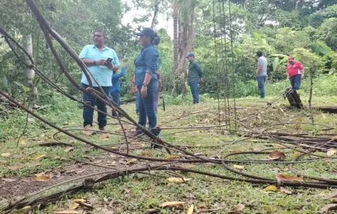 Coclé: Construir el nuevo puente sobre el río Zaratí tomará unos dos meses