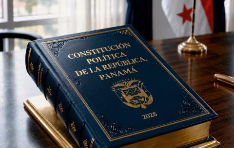 Nueva Constitución: General Paredes sugiere cambios en elección de autoridades
