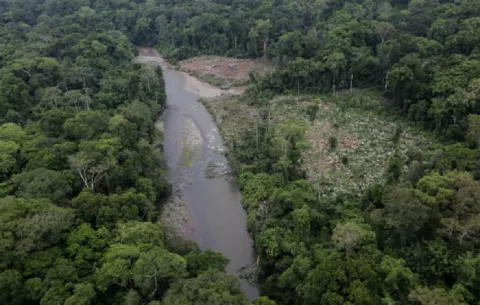 Desmantelan red que lavó $29 millones traficando migrantes hacia la frontera con Panamá