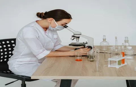 Estudio revela cómo las dietas ricas en azúcar y grasa alteran el crecimiento y las hormonas