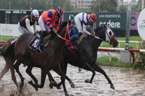 Potros van por su primera en la pista