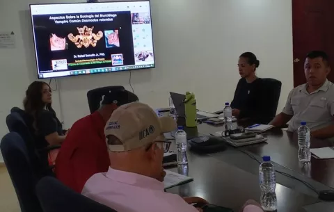 Veterinarios de Panamá se capacitan en prevención de la rabia silvestre