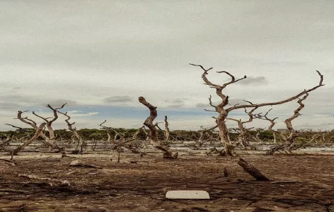 La OMM advierte: El Niño volverá con fuerza este segundo semestre y golpeará a Latinoamérica