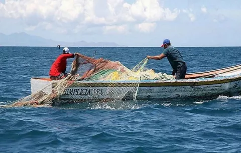 Quince países se alían en Kenia contra la pesca ilegal y el daño a los ecosistemas marinos