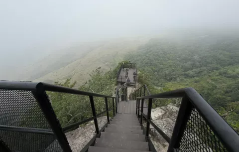 Sendero Cerro de La Cruz registra 2,390 visitantes en su primer mes tras reapertura