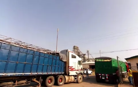 Siembra de arroz en Tonosí cae drásticamente debido a la escasez de lluvias