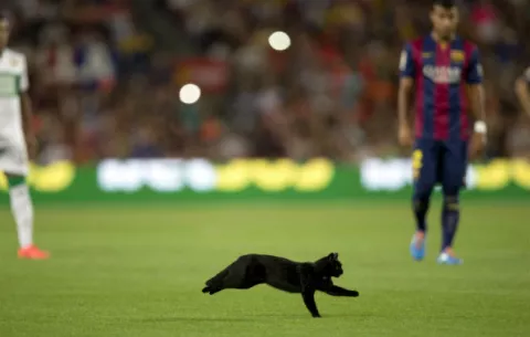 Gato negro se cruza en el camino del Barça