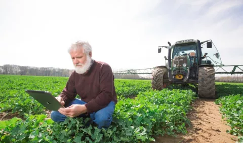 Para 2050 se debería aumentar la producción de comida un 50 por ciento