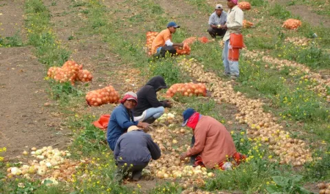 Mida violentó normas del sector agro, según productores 
