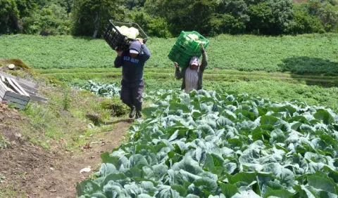 Los productores suman fuerzas