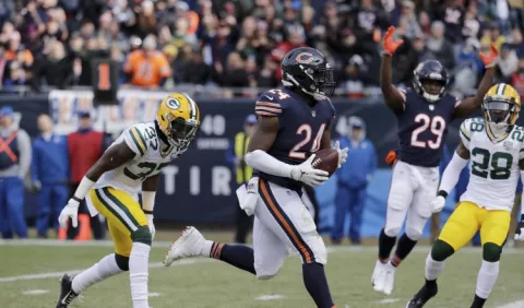 Los Packers, sin postemporada