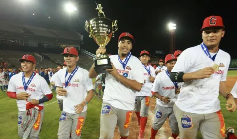Las alegrías que dio el béisbol en 2018