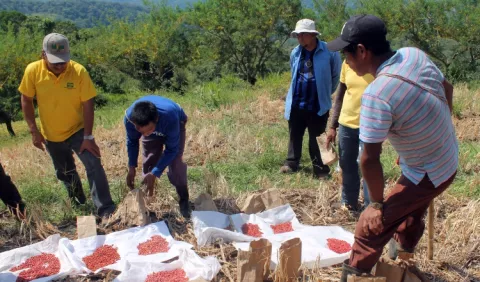 Buscan asegurar la producción nacional 
