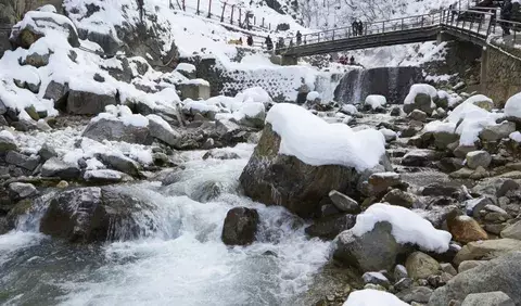 El paraíso japonés de los llamados  monos de nieve 