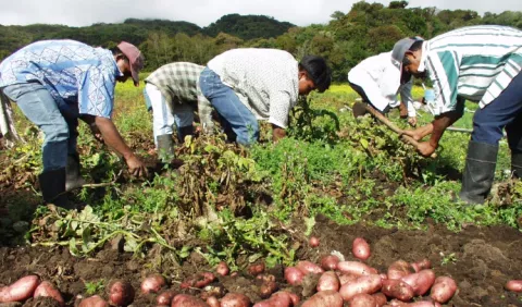 Adecuar el marco legal en el agro es una prioridad, advierten productores