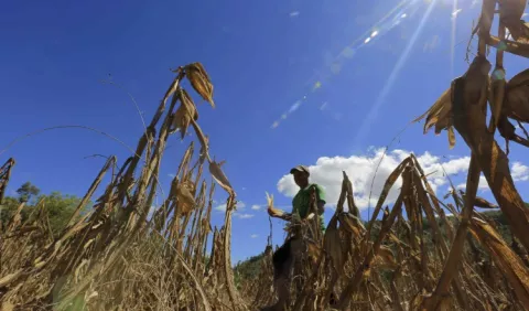 México enfrenta  más retos en temas de producción de alimentos 