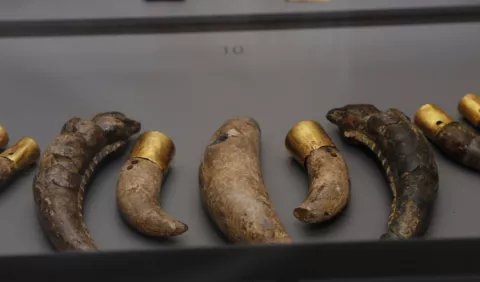 Conoce el renovado Museo de El Caño 