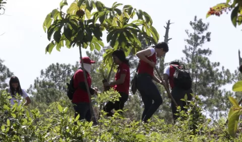 El IICA y Chile buscan acciones conjuntas para la agricultura 