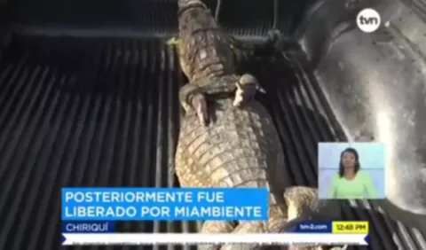 La columna de Doña Perla