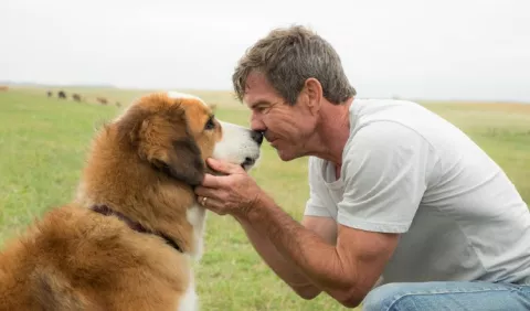 Un nuevo viaje perruno