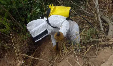Abejas ponen  en alerta a los bomberos
