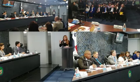 Aprobación exprés en la Asamblea Nacional pone en riesgo la democracia