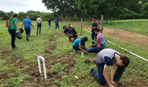 Ya van 130 hectáreas reforestadas en el país