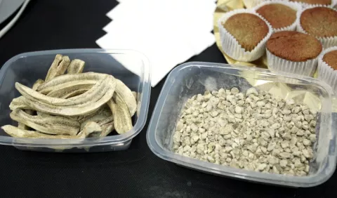 ¿Soy celiaco y no lo sé? Te ayudamos a conocer más sobre esta enfermedad