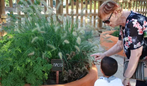 Jardines terapéuticos que retrasan la vejez