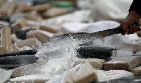 Destrucción de droga