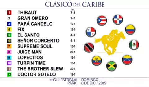 Señor Concerto es el cuarto candidato en el Clásico Internacional del Caribe