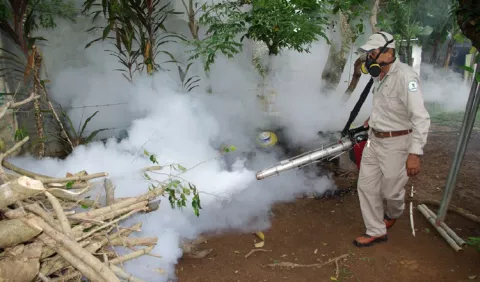 Cifras de casos de dengue  se elevan a 4,066