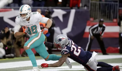Dolphins le hicieron el daño a Patriotas de Nueva Inglaterra