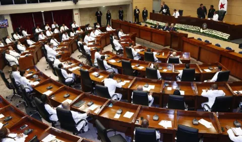Diputados no ejercen función de contrapeso del Órgano Ejecutivo