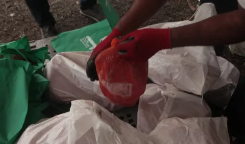 Contraloría revisará la compra de jamones